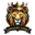Lohgad lions cricket logo