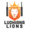 team-flag-icon-LLI