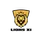 team-flag-icon-LXI