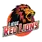 team-flag-icon-LRL