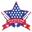 Michigan cricket stars cricket logo