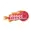 Dihing patkai riders cricket logo