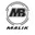 Sky warrior cricket logo