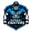 Mumbai fighters cricket logo