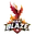 Miami blaze cricket logo