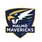 team-flag-icon-MLM