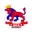 Mumbai divyang cricket logo