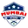 Mumbai stars cricket logo