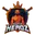 Nagpur heroz cricket logo