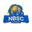 Nbsc lions cricket logo