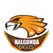 team-flag-icon-NGE