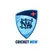 team-flag-icon-NSW