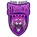 team-flag-icon-NYS