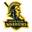 Outer delhi warriors cricket logo