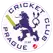 team-flag-icon-PCC