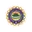 Dca palakkad cricket logo