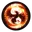 Shah x1 cricket logo