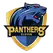 team-flag-icon-PAN