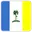 Pulau pinang cricket logo