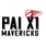 team-flag-icon-PXM
