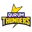 Bousher busters cricket logo