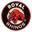 Mighty lions cricket logo