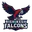 Rishikesh falcons cricket logo