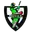 Debrecen vikings cricket logo