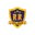 Lions xi cricket logo