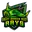 Rays cricket logo