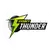 team-flag-icon-ST-W