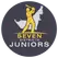 team-flag-icon-SVDJ