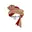Shah x1 cricket logo