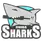 team-flag-icon-CBS
