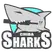 team-flag-icon-CBS