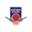 Southern hitters cricket logo