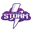 Southern storm cricket logo