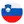 Slovenia team logo