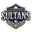 Sri nagar sultan cricket logo