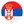 Serbia team logo