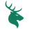 team-flag-icon-CS