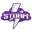 Southern storm cricket logo