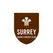 team-flag-icon-SUR