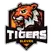 team-flag-icon-TIG