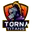 Torna titans cricket logo