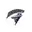 Tornadoes women cricket logo