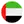 United Arab Emirates Women team logo