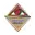 United south blasters women cricket logo