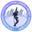 Vidarbha divyang cricket logo