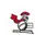 team-flag-icon-VAW